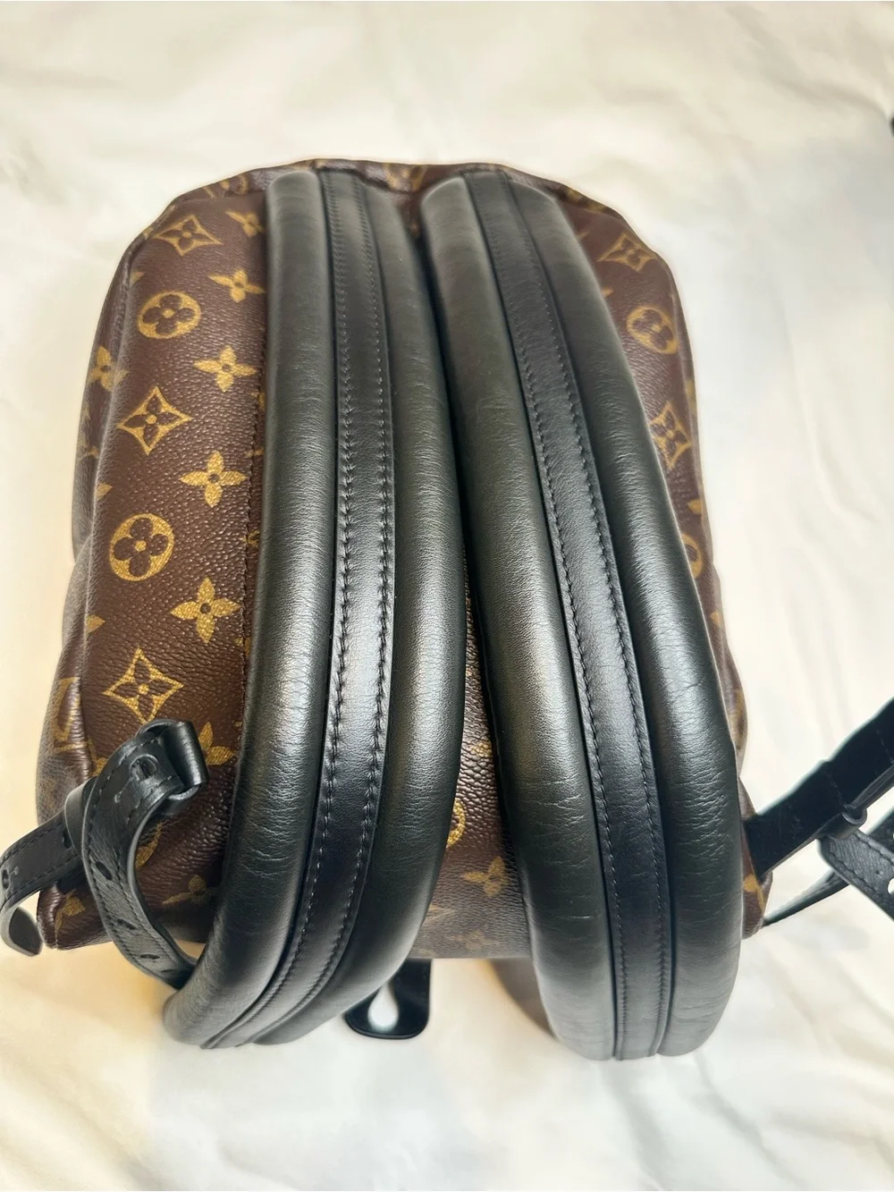 Louis Vuitton Palm Springs PM Backpack